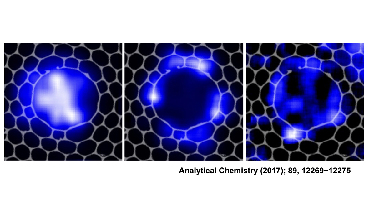 Imaging of the fiber gas sensor