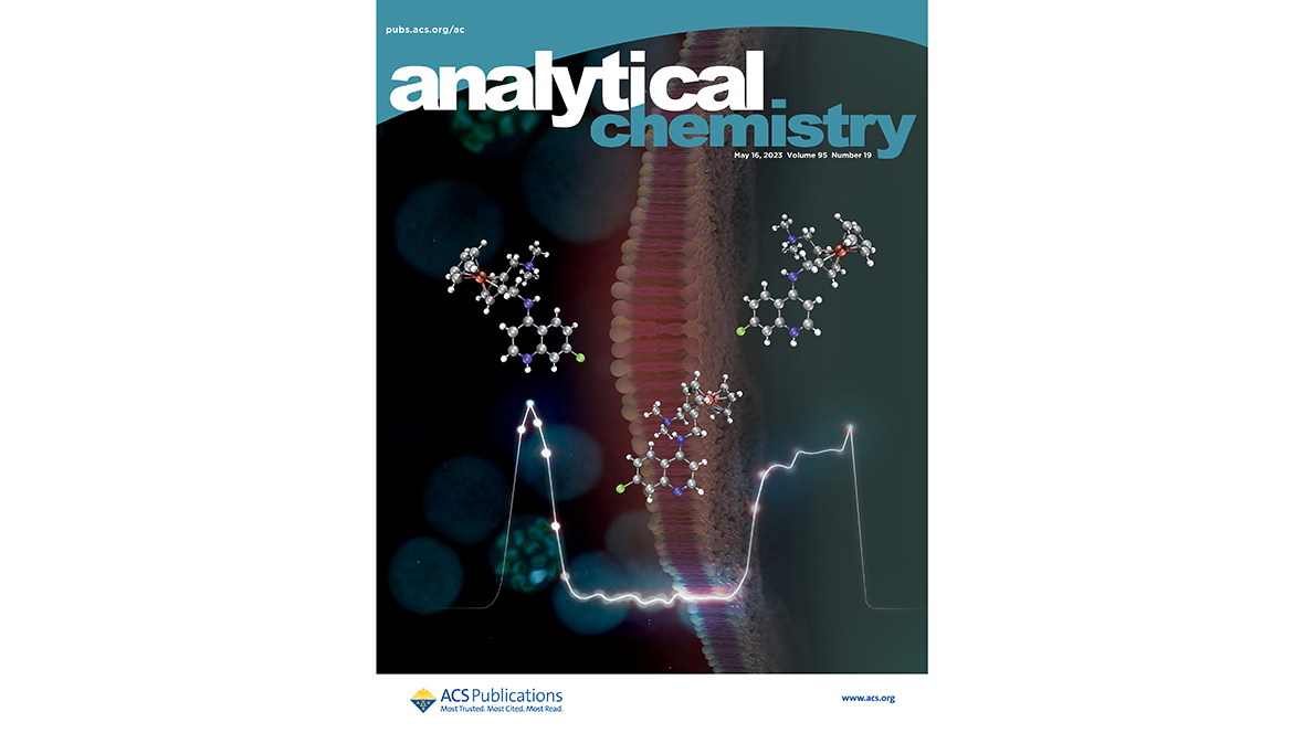 Raman spectroscopic analysis of the antimalarial ferroquine