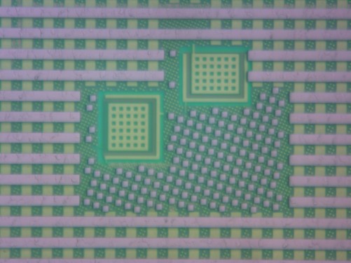 Mikroskopaufnahme der Bandgap Spannungs-Referenz
