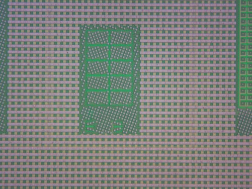 Mikroskopaufnahme des Einstellbaren Verstärkers